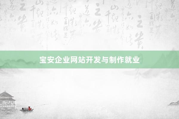 宝安企业网站开发与制作就业